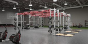 Hammer Strength HD Athletic Bridge - Training Set-Up