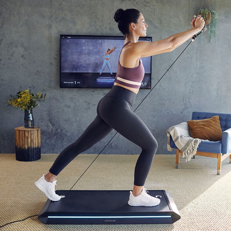 Sync flex home online gym